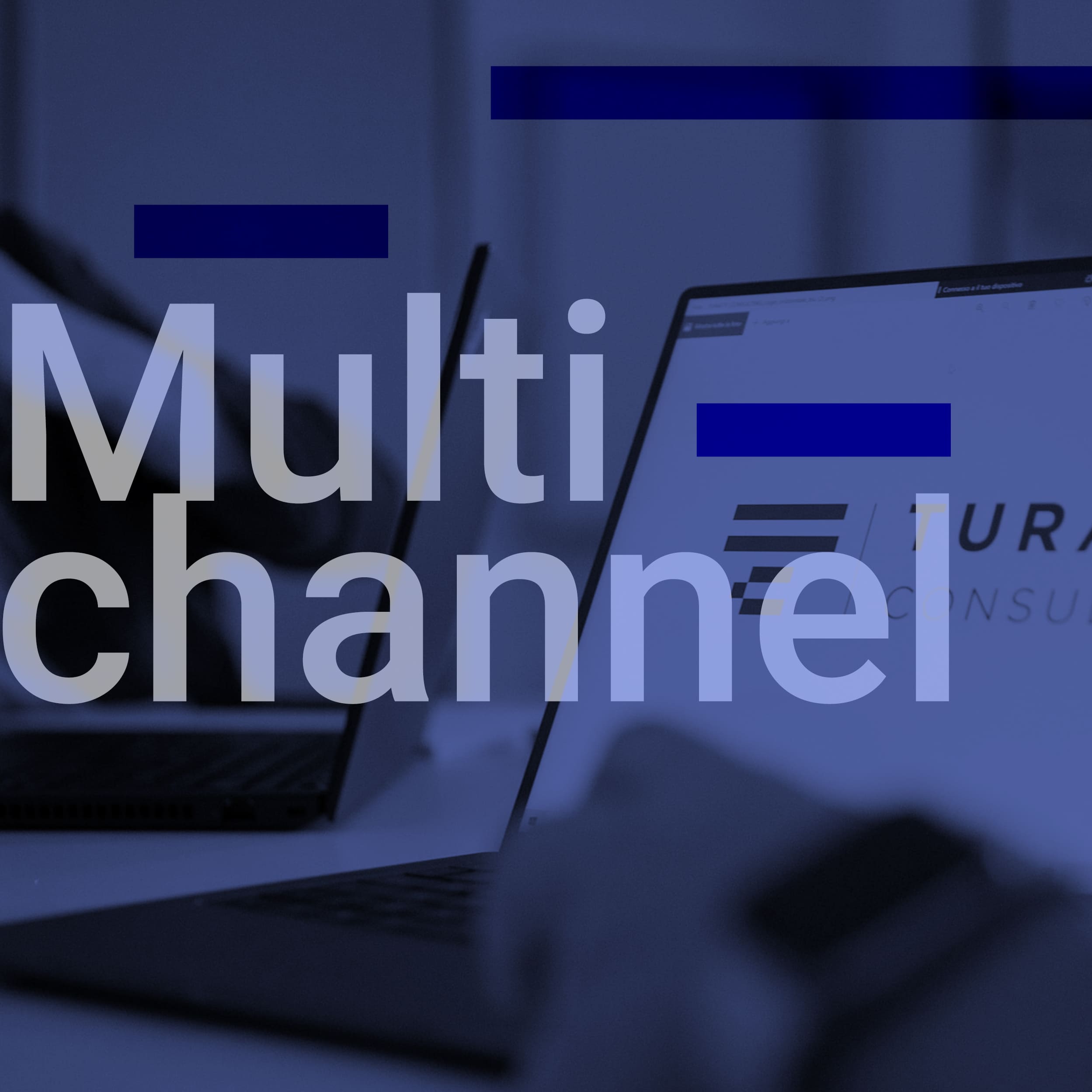 Grafiche pagina Sviluppo E-commerce Multichannel (1) (1)